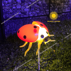 Bọ rùa năng động