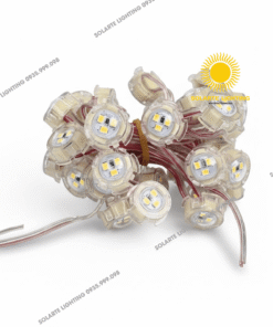 Led điểm đổi màu F20